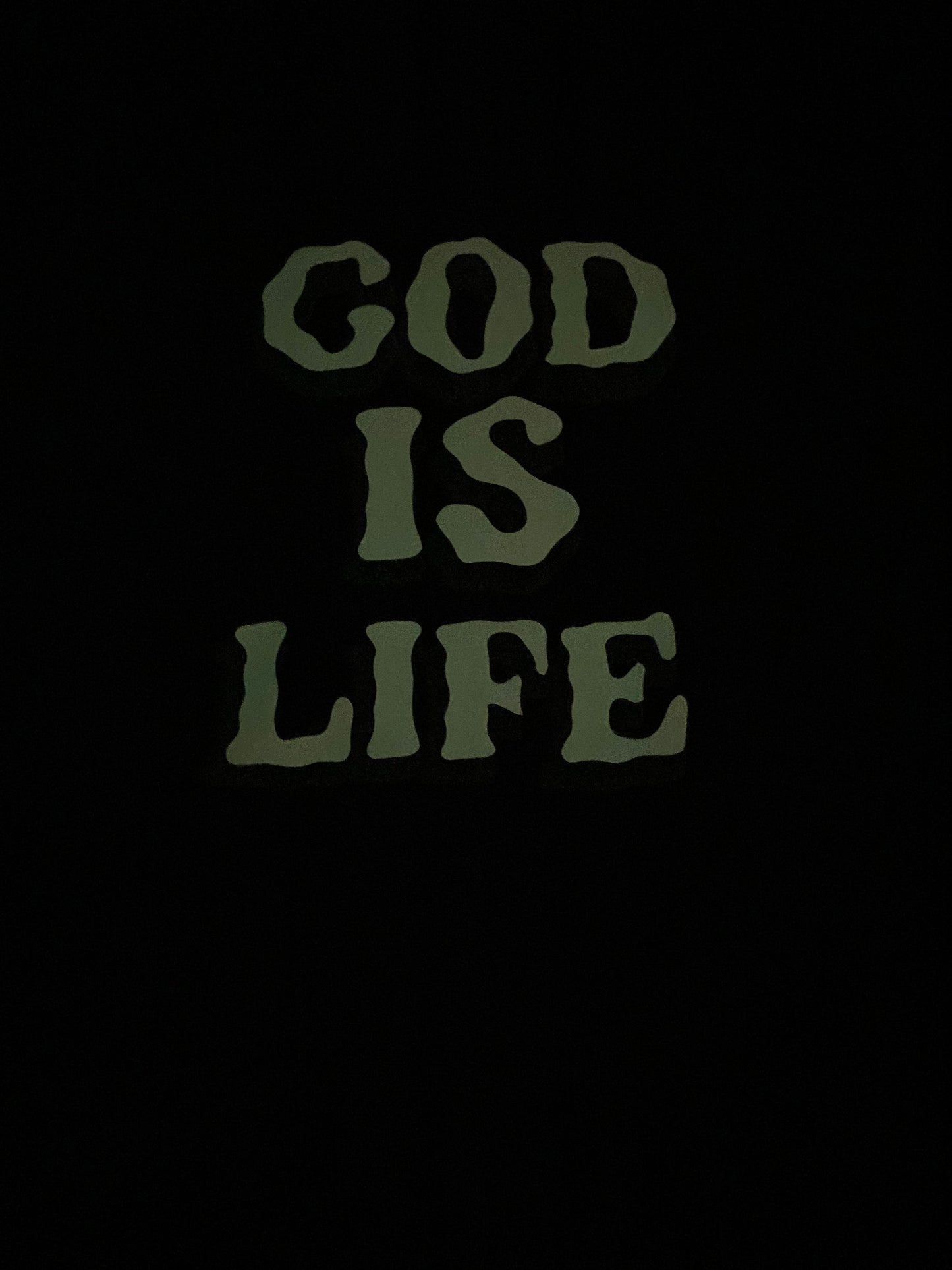 "God is Life" - Glow in the dark Heavy style Hoodie